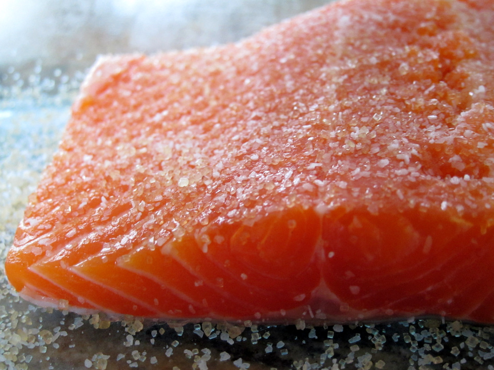 Salmon Curing