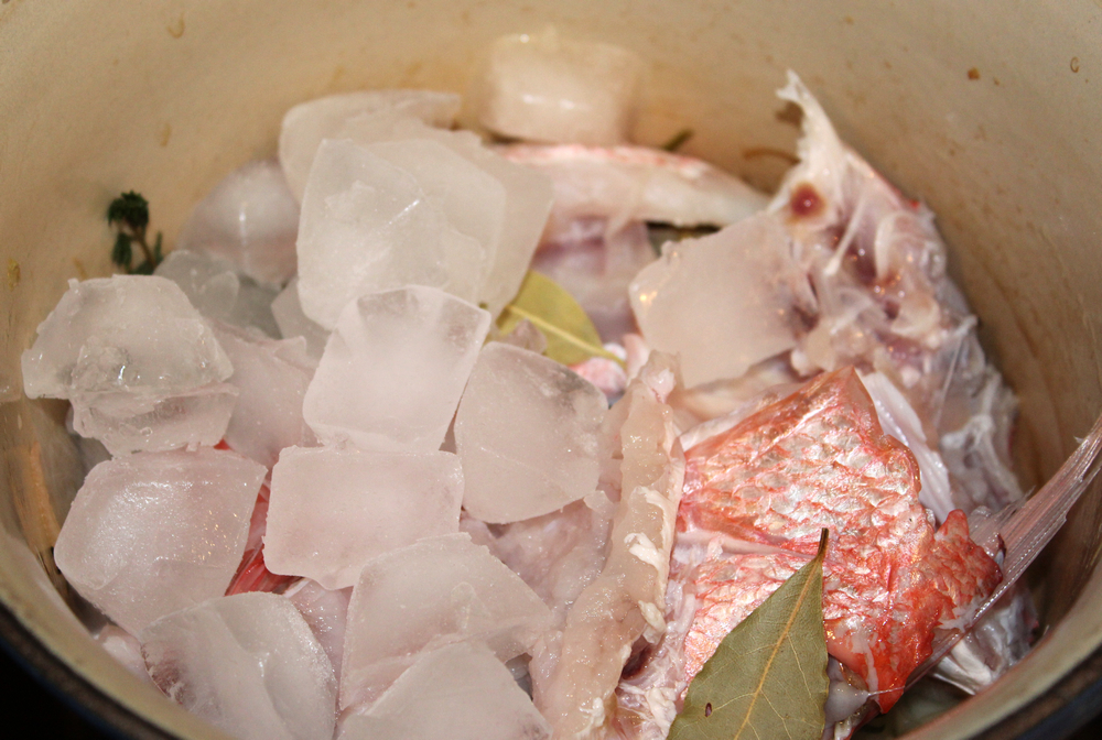 Fish Stock