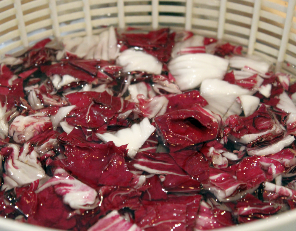 Radicchio