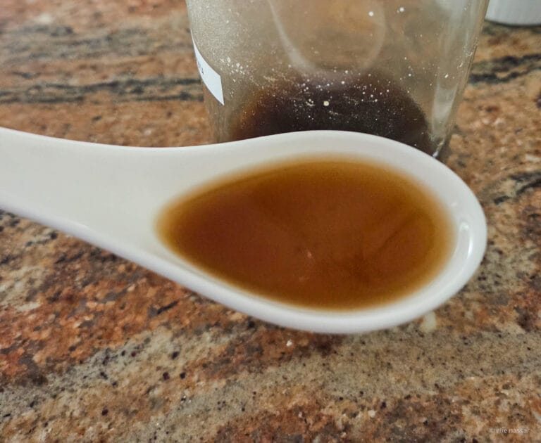 Japanese style homemade soy sauce